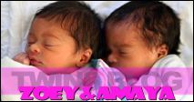 Twins Weblog
